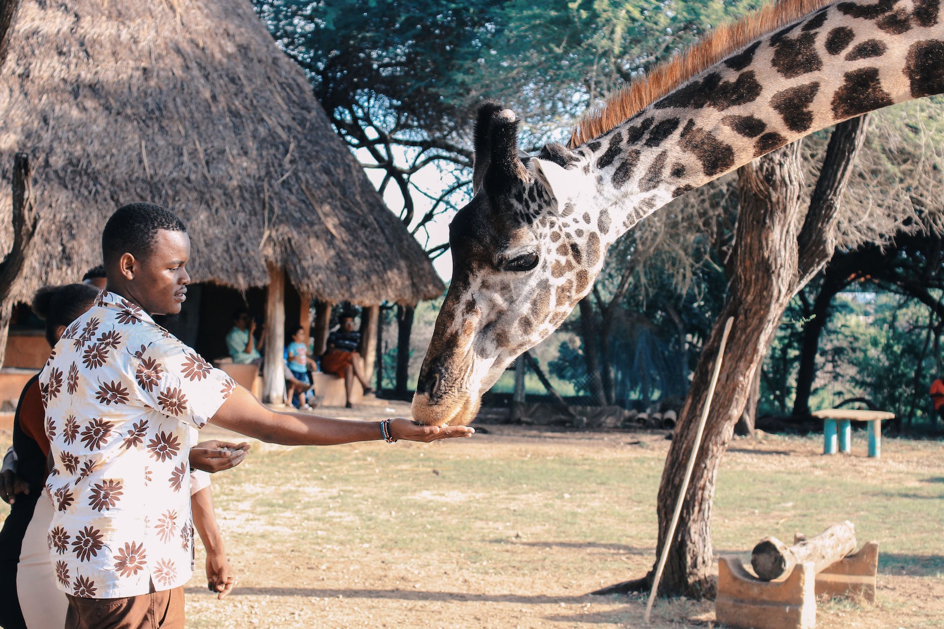 Nairobi adventure, Gorila Travels, Kenya safari, wildlife encounter, Maasai market, cultural immersion, sustainable tourism, orphanage visit, unforgettable memories, travelgram,