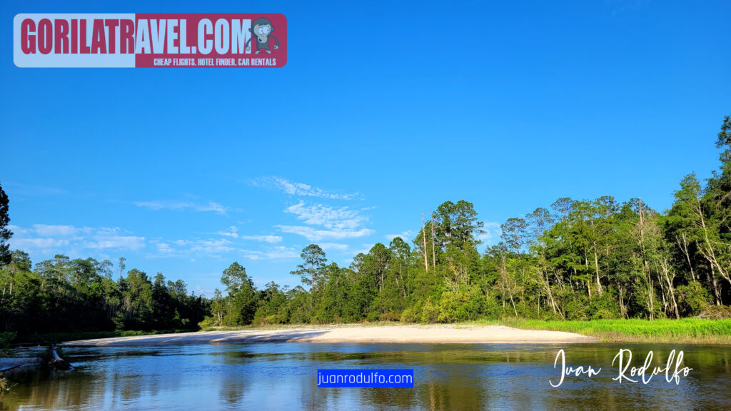 Blackwater River Park photos by Gorila Travel, Rivers, River, Blackwater river, River beach, River shore, Florida Parks, parks with rivers,
